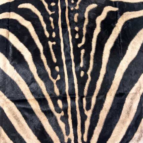 Tapis en peau de zèbre véritable n° 30 Taille énorme : 8 x 6 pieds - TAIE D'OREILLER ZEBRA GRATUITE