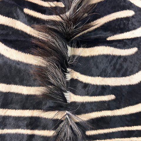 Tapis en peau de zèbre véritable n° 30 Taille énorme : 8 x 6 pieds - TAIE D'OREILLER ZEBRA GRATUITE