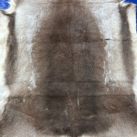 Reindeer Skin (White and Brown) Size: 57x48" Z-184