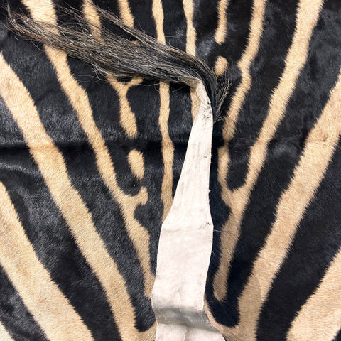 Tapis en peau de zèbre véritable n° 30 Taille énorme : 8 x 6 pieds - TAIE D'OREILLER ZEBRA GRATUITE