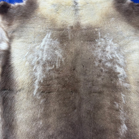 Reindeer Skin (Beige and Brown) Size: 55x46" Z-185