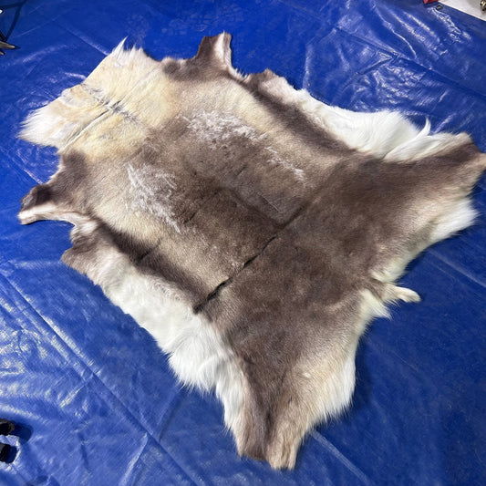 Reindeer Skin (Beige and Brown) Size: 55x46" Z-185