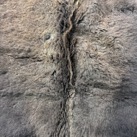 Bison Skin Rug (awesome long winter coat) Size: 8x7 feet Bison # 25