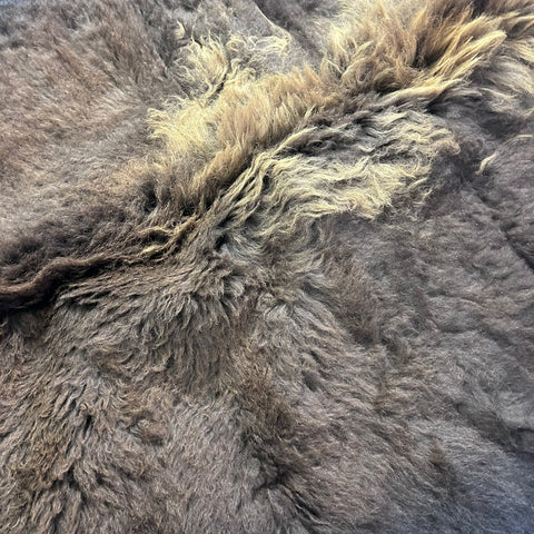 Bison Skin Rug (awesome long winter coat) Size: 7x7 feet Bison # 26