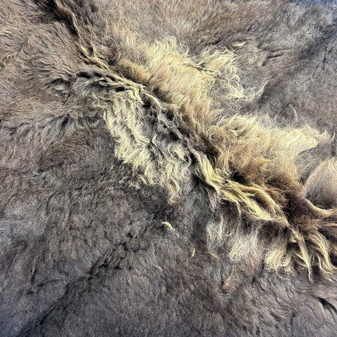 Bison Skin Rug (awesome long winter coat) Size: 7x7 feet Bison # 26