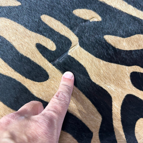 Tiger Print Cowhide Rug Size: 7x6 feet Z-370