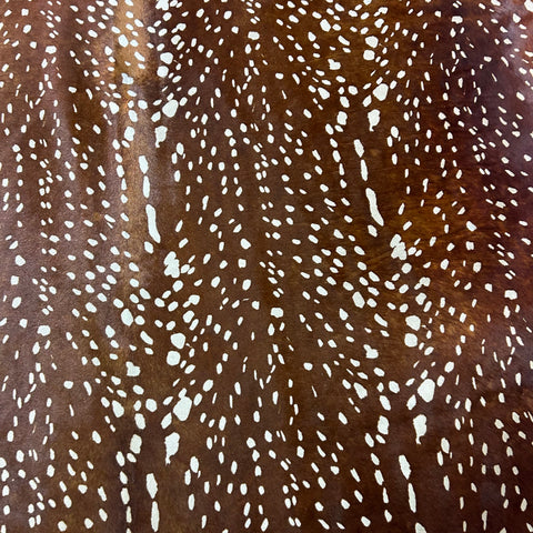 Axis Deer Cowhide Rug Size: 7x6 feet Z-373