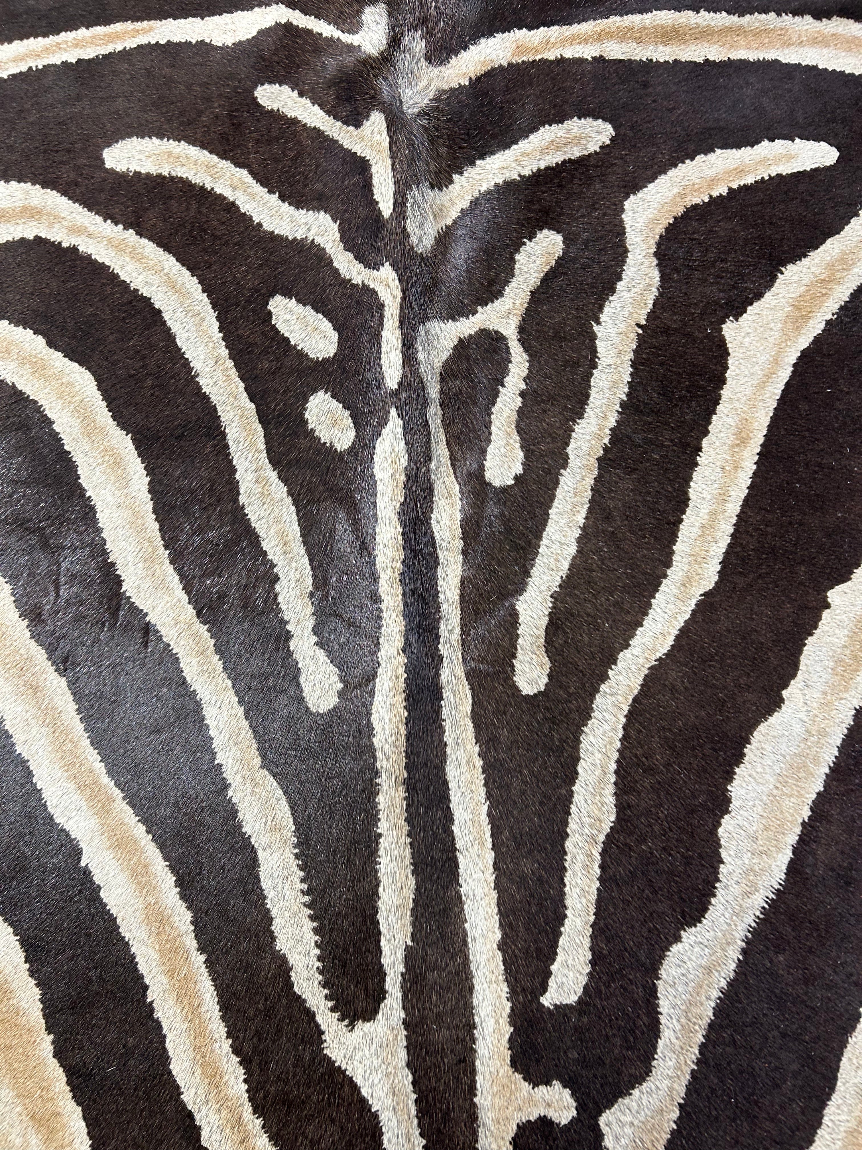 Genuine Zebra Print Cowhide Rug (inner stripes are light brown/hind right leg is missing print/a small patch) Size: 7.2x6 feet D-098