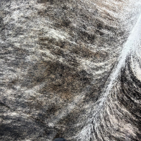 Dark Grey Brindle Cowhide Rug (48.25 sq ft) Size: 8x7 feet Colombia-54