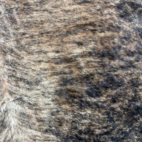 Medium Brindle White Belly Cowhide Rug (43 sq ft) Size: 7.7x7 feet Colombia-53