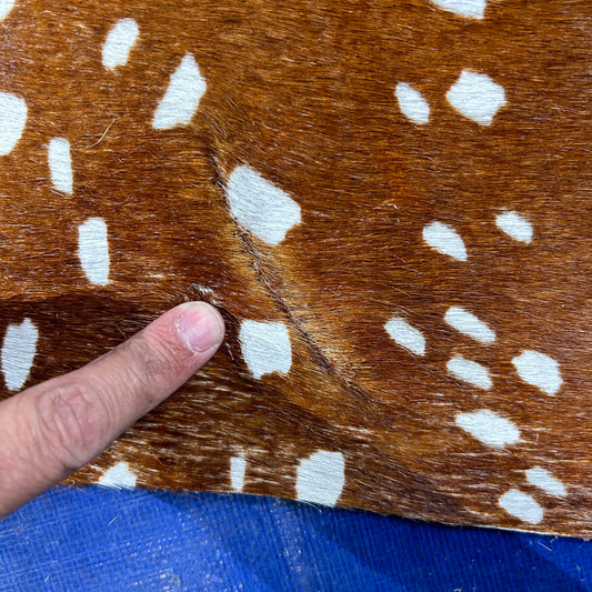 Axis Deer Cowhide Rug (2 stitches) Size: 7x5.5 feet D-616