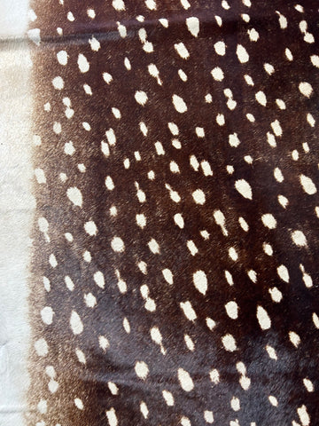 Axis Deer Print Cowhide Rug (darker background but a bit faded in spots) Size: 7x6 feet D-103