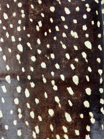 Axis Deer Print Cowhide Rug (darker background but a bit faded in spots) Size: 7x6 feet D-103