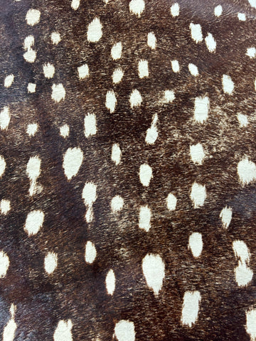 Axis Deer Print Cowhide Rug (darker background but a bit faded in spots) Size: 7x6 feet D-103