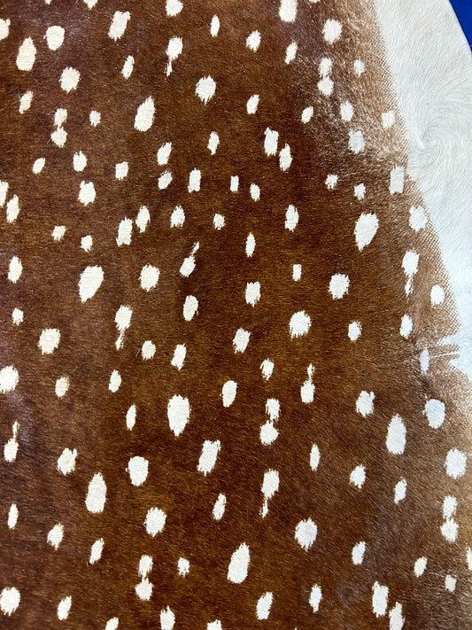 Tapis en peau de vache à imprimé cerf Axis (fond plus foncé, quelques cicatrices) Taille : 7x6,2 pieds D-104