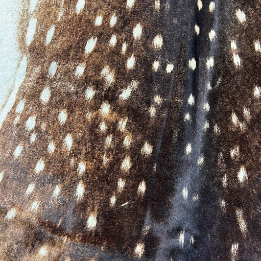 Axis Deer Print Cowhide Rug Size: 7x6.5 feet D-630
