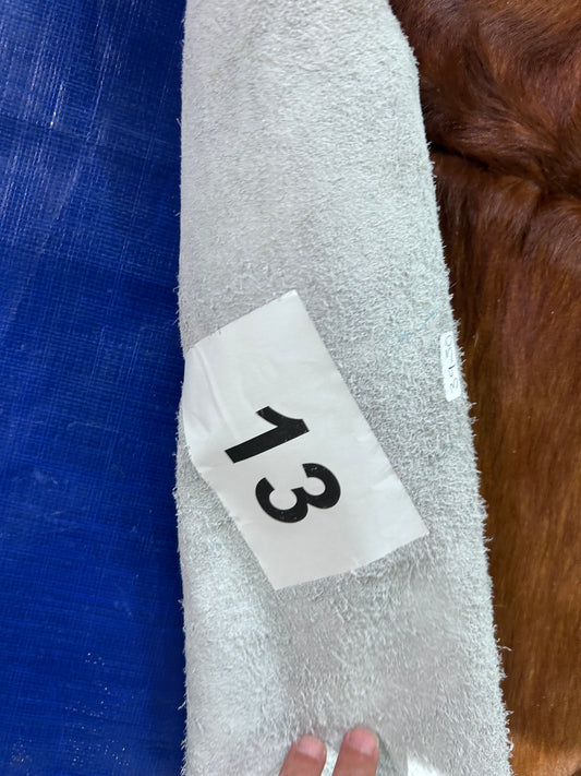Hereford Cowhide Rug Size: 7x7 feet Colombia # 13