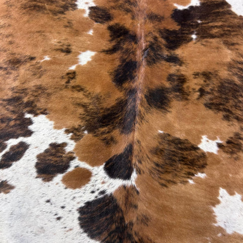 Tricolor Cowhide Rug Size: 6x6 feet J-064