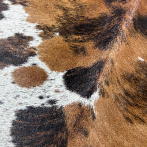 Tricolor Cowhide Rug Size: 6x6 feet J-064