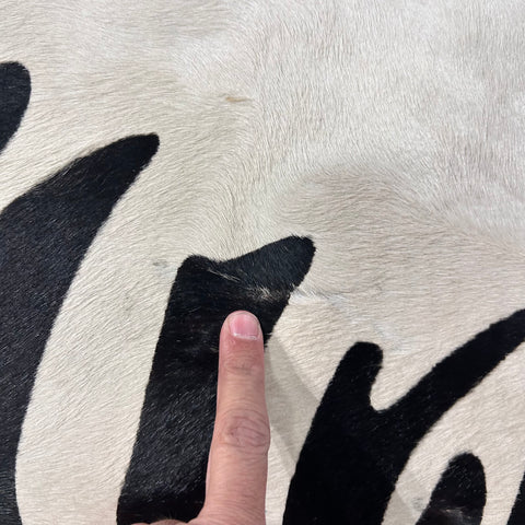Zebra Print Cowhide Rug (1 patch and some scars/ beautiful shiny hair/ quite white!) Size: 8x6.2 feet J-139