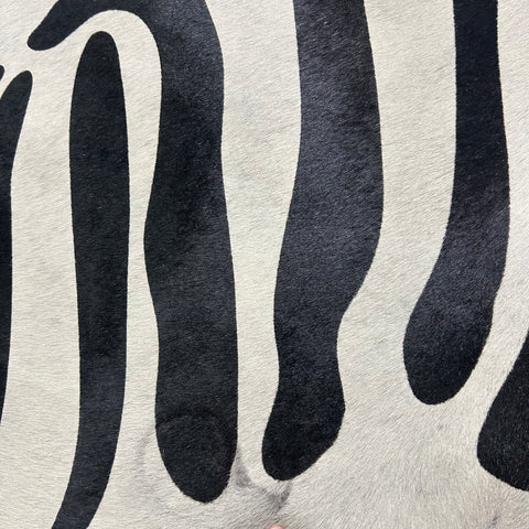 Zebra Print Cowhide Rug (2 small patches and some scars/ quite white!) Size: 7x6.7 feet J-140