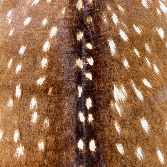 Axis Deer Printed Cowhide Rug Size: 7x6 feet D-645