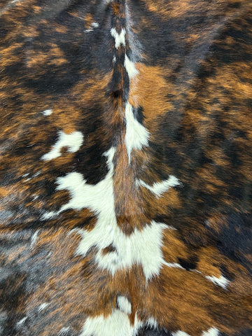 Tricolor Cowhide Rug Size: 8x7.5 feet D-119