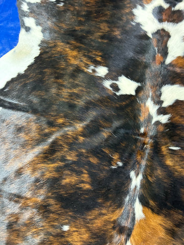 Tricolor Cowhide Rug Size: 8x7.5 feet D-119