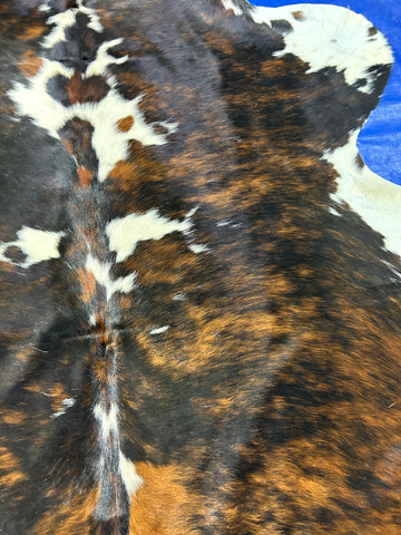 Tricolor Cowhide Rug Size: 8x7.5 feet D-119