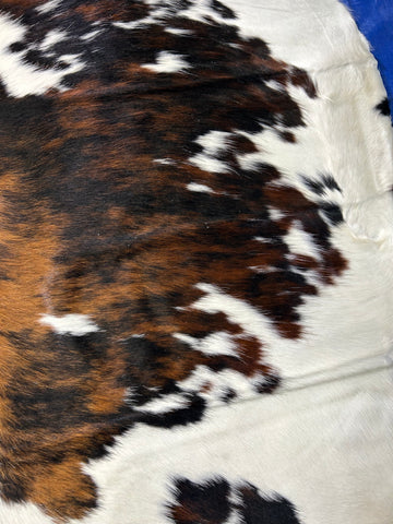 Tricolor Cowhide Rug (100% perfect and gorgeous!) Size: 7x7 feet D-122