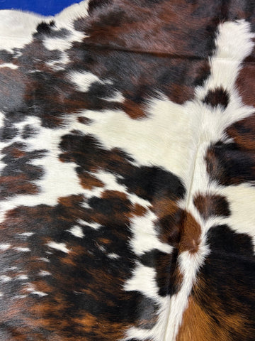 Tricolor Cowhide Rug (100% perfect and gorgeous!) Size: 7x7 feet D-122