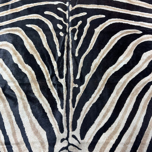 Genuine Zebra Cowhide Rug Size: 7x6 feet Z-187