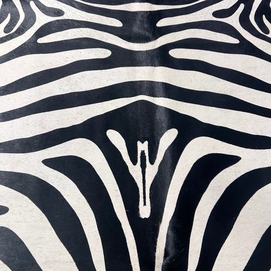 Upholstery Zebra Cowhide Rug (2 small patches) Size: 7x6.5 feet Z-377