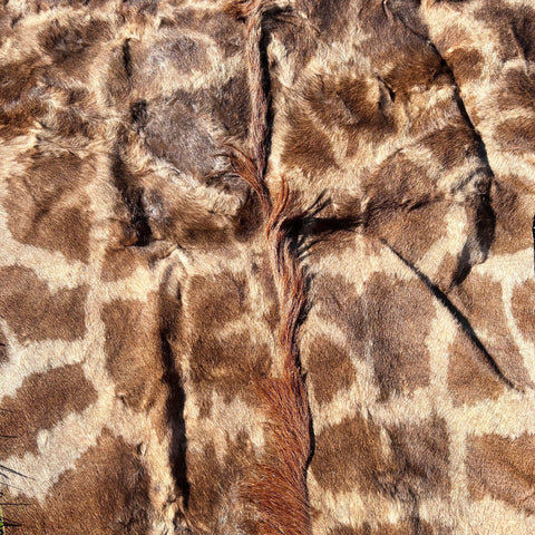 Real Giraffe Skin # 2 Approx. Size: 12'X6.5' (tail is 53")