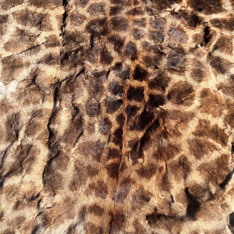 Real Giraffe Skin # 2 Approx. Size: 12'X6.5' (tail is 53")