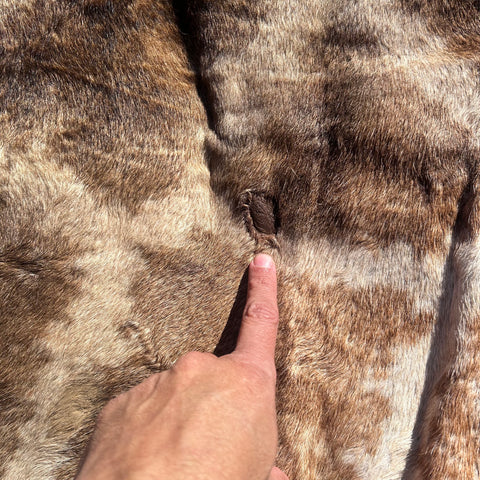Real Giraffe Skin # 2 Approx. Size: 12'X6.5' (tail is 53")