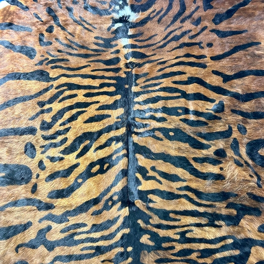 Java Tiger Cowhide Rug with Longish hair Size: 7x6.2 feet Z-387
