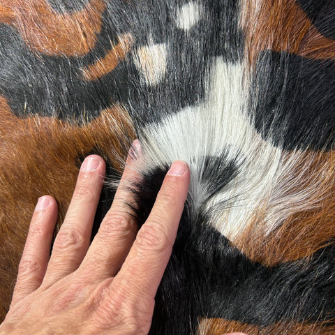 Java Tiger Cowhide Rug with Longish hair Size: 7x6.2 feet Z-387