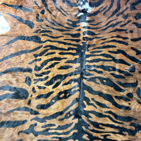 Java Tiger Cowhide Rug with Longish hair Size: 7x6.2 feet Z-387