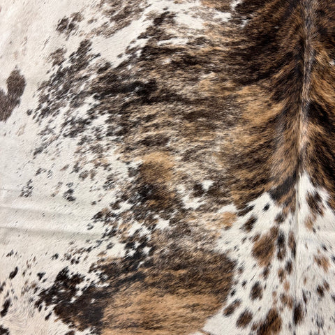 Gorgeous Tricolor Brindle Cowhide Rug Size: 7.7x6.2 feet D-655