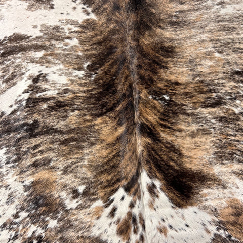 Gorgeous Tricolor Brindle Cowhide Rug Size: 7.7x6.2 feet D-655