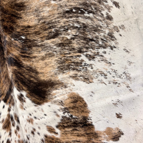 Gorgeous Tricolor Brindle Cowhide Rug Size: 7.7x6.2 feet D-655