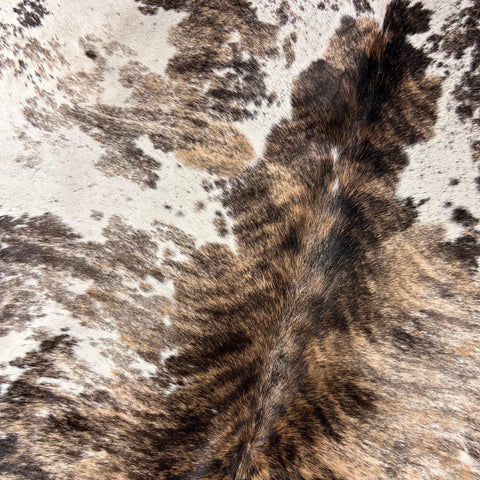 Gorgeous Tricolor Brindle Cowhide Rug Size: 7.7x6.2 feet D-655