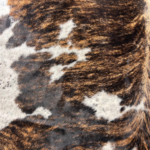 Gorgeous Dark Brindle Tricolor Cowhide Rug Size: 8.2x7 feet D-664