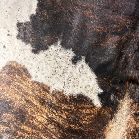 Gorgeous Dark Brindle Tricolor Cowhide Rug Size: 8.2x7 feet D-664