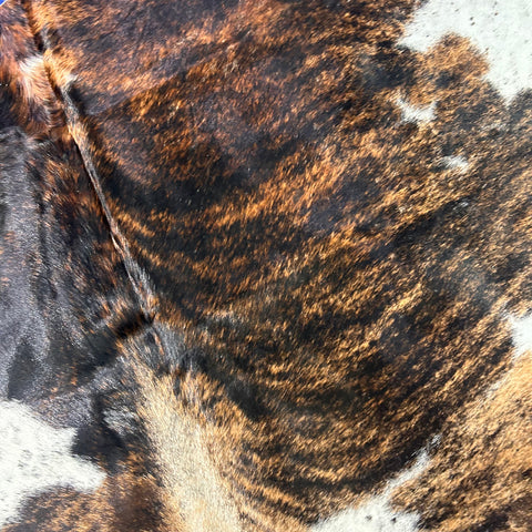 Gorgeous Dark Brindle Tricolor Cowhide Rug Size: 8.2x7 feet D-664