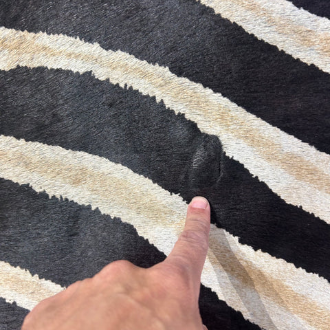 Genuine Zebra Print Cowhide Rug (1 small patch/ hard to see fire brands) Size: 7x6.2 feet Z-396