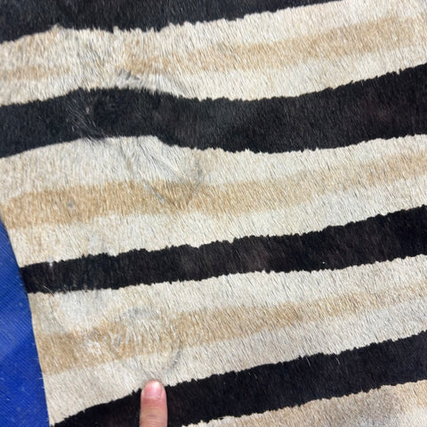 Genuine Zebra Print Cowhide Rug (1 small patch/ hard to see fire brands) Size: 7x6.2 feet Z-396