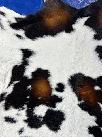 Tricolor Calf Skin Size: 36x32" D-138