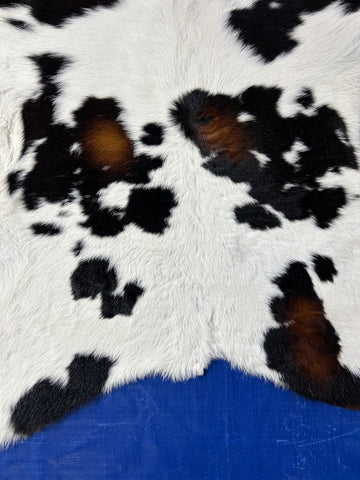 Tricolor Calf Skin Size: 36x32" D-138